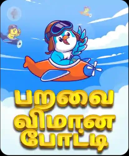 பறவை விமான போட்டி