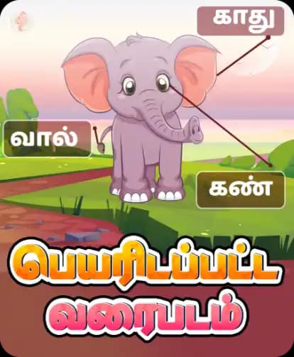 பெயரிடப்பட்ட வரைபடம்