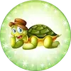 Tortoise